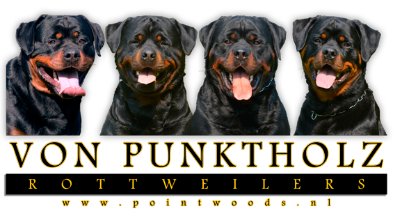 methaan B olie Occlusie Pointwood's Rottweilers